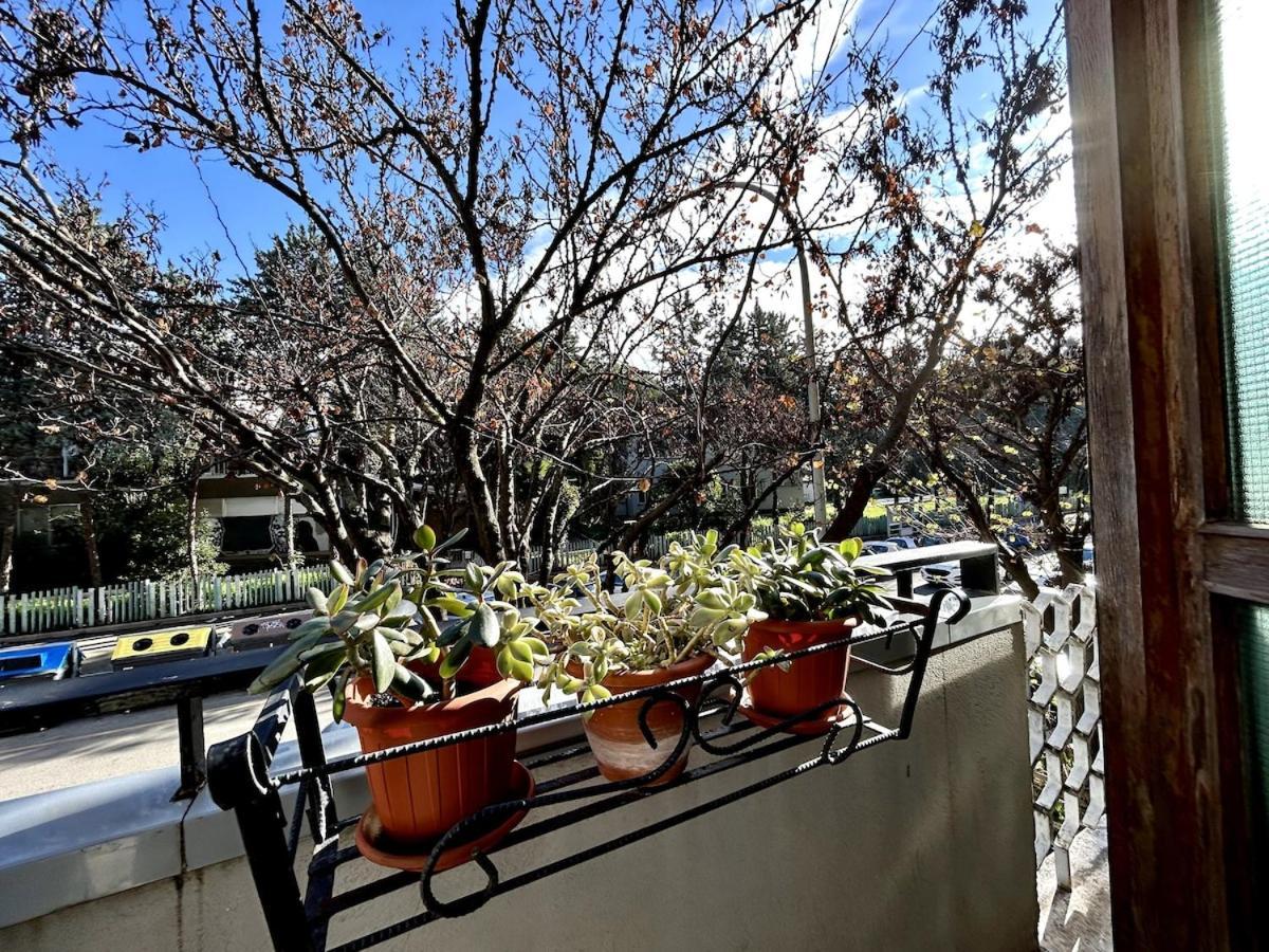 Da Elisa E Davide House Apartment Rom